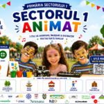 Bolt afișează în aplicație numărul gratuit destinat victimelor violenței domestice și discriminării