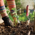 Călătoriile care ne schimbă perspectiva