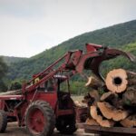 Cum valorifică Romsilva lemnul exploatat din pădurile de stat