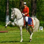 Peste 196 de tone de deșeuri, strânse din păduri de angajații Romsilva și voluntari